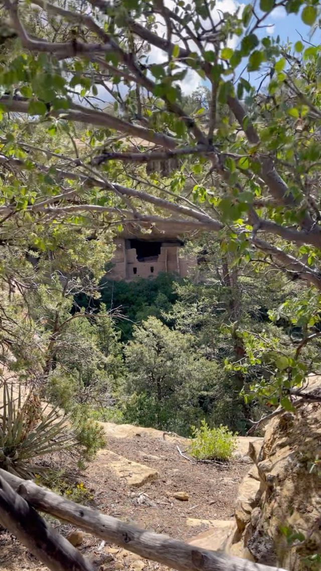 Amazing (one might even say epic!) views from the Petroglyph Trail in Mesa Verde National Park today.
#petroglyphs #petroglyphtrail #mesaverdenationalpark #mesaverde #hiking #colorado