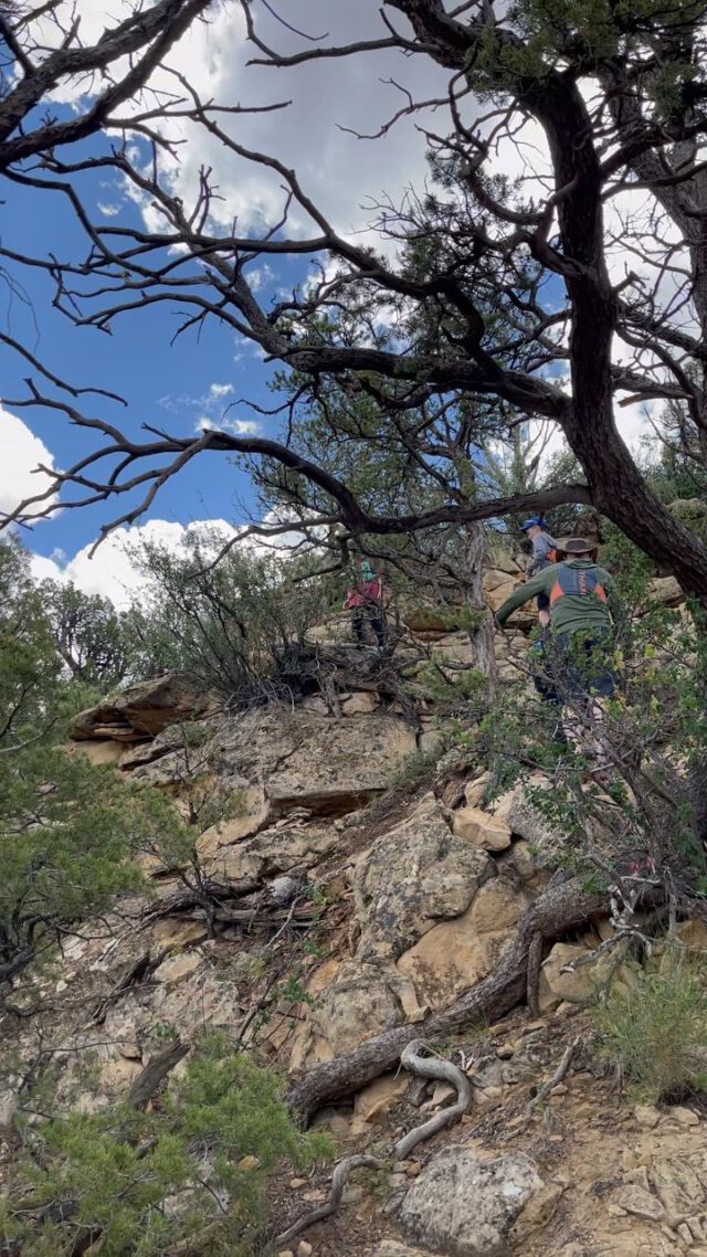 Good things really do come to those who go outside!
#hiking #colorado #mesaverdenationalpark #mesaverde #petroglyphtrail