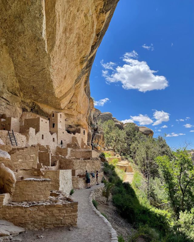 The Cliff Palace and other cliff dwellings in Mesa Verde National Park absolutely blew our mind. Amazing! I also really love that we no longer think of these as the homes of an ancient people who disappeared, but as homes of the Ancestral Pueblo people who migrated south to new villages and pueblos.
#themoreyouknow #hiking #colorado #cliffpalace #cliffpalacemesaverde #mesaverde #mesaverdenationalpark @nationalparkservice