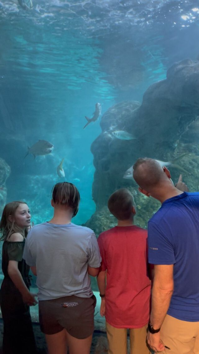 Moments like this… at the Downtown Aquarium in Denver today with the family!